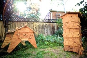 Open Source Beehives, Creative Commons, http://opensourcebeehives.net